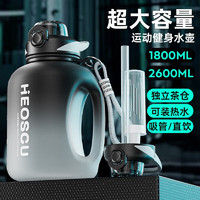 HEoscu 水杯大容量吨桶吨吸管运动水壶茶水分离顿顿大肚水壶耐高温男健身 渐变色1800ml