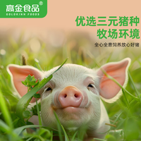 高金食品 河南 猪棒骨4斤 冷冻猪棒骨猪大骨 猪肉生鲜 源头直发