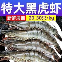 百亿补贴：北海湾 黑虎虾大虾鲜活虾子新鲜特大号3040规格1.2斤海鲜水产