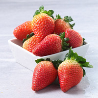 静益乐源四川大凉山草莓 红颜草莓 鲜草莓 新鲜水果 净重4.5斤中果礼盒单果13-18g