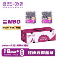 佳沃 云南当季蓝莓MBO系列 18mm+大果 4盒礼盒装 约125g/盒