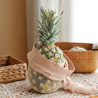 丝袜女春秋款薄款黑色性感防勾丝夏季肉色光腿菠萝美肤连裤袜 其他尺寸