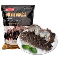 颐口福 即食海参500g*2 赠礼袋 20-25只/斤