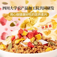 三匠 荞麦麦片BYE糖荞麦片冲饮水果坚果酸奶搭即食早餐大凉山210g