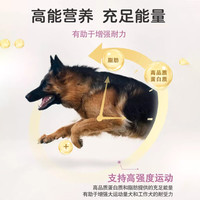 冠能（PRO PLAN）狗粮赛级犬配方全犬种全阶段高营养金毛拉布拉多通用型狗粮 赛级全期17kg