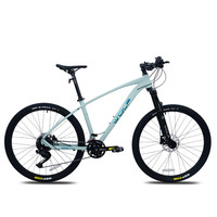 WOLFWOLF跑狼硬核300plus山地车成人18速油碟气压前叉越野山地自行车 抹茶绿 /禧玛诺18速/120响花鼓 29寸轮径X17寸车架