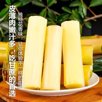 果麦 正宗黄皮甘蔗新鲜水果9斤当季特产绿皮黄金黑皮果蔗手撕脆皮现砍