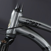 凤凰（PHOENIX）上海凤凰软尾山地车自行车公路男变速双减震越野青少年赛车 活力橘【十刀双减震+全内走线】 26寸30速【适合身高158-188cm】