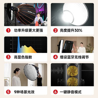 Godox/神牛 双色温直播补光 LED常亮灯+快装深口栅格柔光箱
