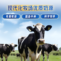 君乐宝【新品】遇见奶牛中老年父母奶粉成人奶粉高钙多维营养牛奶粉 高钙多维试用装