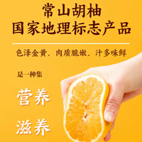 江中常山胡柚膏茶  瓶装礼盒 益生元柚子茶冲饮 柚子茶 1 盒【共3 瓶】25年4月到期