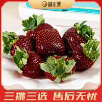 桃小蒙 山东烟台 黑草莓 500g 2盒大果 22-30颗