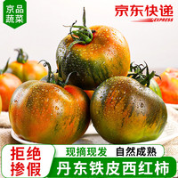 沙窝曙光 丹东铁皮西红柿子盐碱地番茄绿腚油草莓柿子茄果瓜 精选净重 5斤 装