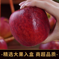 京地达苹果昭通红富士生鲜水果净含量6斤单果80mm 源头直发 洛川苹果-净重8.5斤
