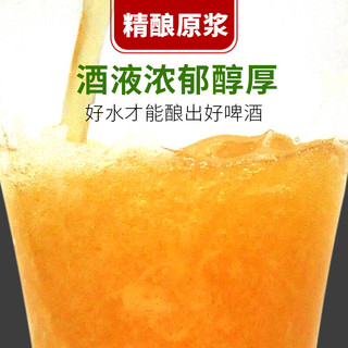 麦公子青岛特产精酿原浆啤酒整箱蛇年礼盒春节新春新年年货 福蛇贺岁珍藏版 1000mL 6桶 礼盒装