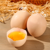 舌尖攻略农家谷物鲜鸡蛋谷物喂养营养早餐散养土鸡蛋单枚约40g±5g整体纸箱 10枚