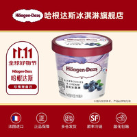 哈根达斯 Häagen·Dazs 满6件包邮 经典口味雪糕冰淇淋 100ml/杯冰激凌 蓝莓味