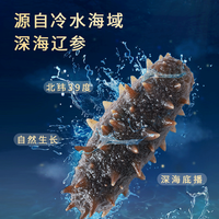 颐口福大连野生底播9A海参过年送礼源头直发特产元宵送礼 (30-40只/斤)