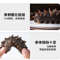 颐口福大连即食海参野生底播9A海参礼盒过年源头直发特产元宵 即食海参1000g (18-22只/斤) 即食海参1000g 6-12只