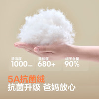 波司登（BOSIDENG）25年春季轻薄羽绒服男女儿童5A抗菌4防葫芦纹马甲T250135020 果木绿4522 150 /72