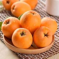 HYOJOO 四川 米易枇杷 5斤装（单果30-50g）