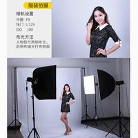 NiceFoto 耐思GY-180/TB-250/TB-300w摄影灯影室专业闪光灯中小型影棚电商拍摄灯套装证件照美食影棚灯