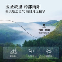 同仁堂 Tongrentang Chinese Medicine蒲公英根新鲜现炒婆婆根茶原产黄花苗根泡水养生茶250g/罐