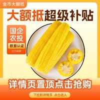 东北黄糯玉米新鲜粘苞米黏甜玉米开袋即食水果玉米粒