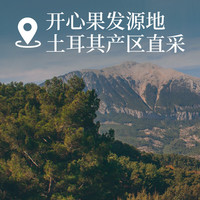 沃隆开心果400g/罐土耳其大颗粒无漂白每日坚果炒货零食 【400g开心果】土耳其源头直采