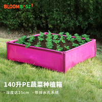 Bloombagz 超大正方形种植箱种菜神器折叠花盆阳台方型花槽蔬菜盆紫红色140L
