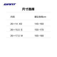 捷安特（GIANT）25款ATX 720铝合金24速油压碟刹成人变速山地自行车 全消光银鼠灰 26×15.5 S 155-170cm