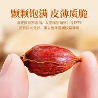 陈一凡 栀子茶100g 精选自然晾晒黄栀子栀子花茶 搭菊花决明子养生茶罐装