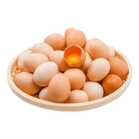 神农游 农家散养谷物鲜鸡蛋 50g 10枚
