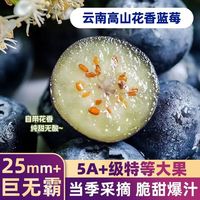 鼎鲜满 云南花香蓝莓 新鲜现摘高山当季应季时令水果 单果15mm+-顺丰快递 8杯 礼盒装