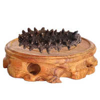 千舟岛正品珍品淡干海刺参38女神节礼物 3-3.4cm1只 每满20只送1只