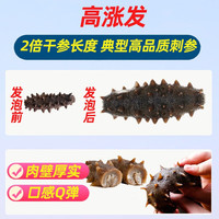 千舟岛珍品淡干海刺参38 18-28只大个礼盒装250g