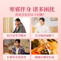 贡苑 紫苏暖阳茶240g（30包）红枣姜米糙米紫苏茶 驱泡水茶包免煮寒养生茶 独立茶包