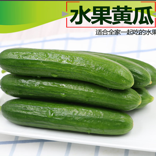 京鲜生 水果小黄瓜 净重5斤 单果80g+