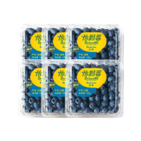 Driscoll's 怡颗莓 Only the Finest Berries 怡颗莓 国产云南蓝莓 蓝莓小果 125g*6盒（14-18mm）