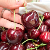 振亿沭智利车厘子【JD- -多地次日达】当季新鲜大樱桃生鲜水果 4.5斤(净重) 3J 礼盒单果10-12g