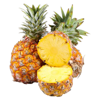 少羽 海南 金钻凤梨 4.5斤装