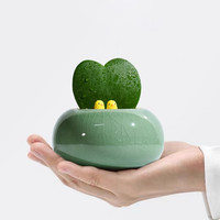 绿荫巷子一片心多肉小盆栽办公室创意室内耐阴绿植好养桌面植物 一片心【绿色哥窑胖墩盆】+2小鸡