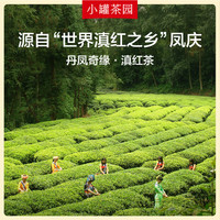 小罐茶园悦享四时福饮大红袍滇红肉桂普洱茶叶组合茶礼盒装 【尝鲜装】滇红