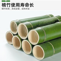 森必居（SENBIJU）折叠简易鞋架子木制鞋柜宿舍家门口多层免安装耐用防尘置物收纳架 原色-六层100【免安装 可折叠】