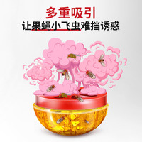 修正杀蝇饵剂灭苍蝇药果蝇诱捕器小飞虫克星灭杀果蝇杀虫剂2盒 【杀蝇饵剂两盒装】