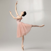 三沙（sansha）芭蕾舞裙 夏季女软纱tutu裙舞蹈半身裙仙气网纱裙 高级灰 M （均码）