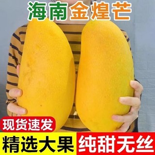 百亿补贴：硕果吉客 FRUITFUL JIKE 海南金煌芒水仙芒果新鲜水果热带甜心芒青皮芒