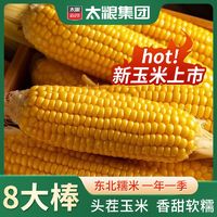 百亿补贴：太粮 东北黄糯玉米220g×8根