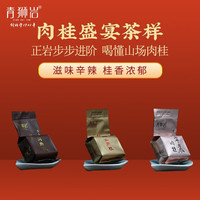 青狮岩 乌龙茶 正岩肉桂 48g 肉桂盛宴茶样 8g*6包
