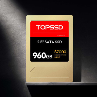 TOPSSD（天硕）S7000全国产企业级固态硬盘，数据中心服务器SSD_SATA3.0 960GB_S7000